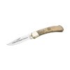 Συλλεκτικός Σουγιάς Buck Besle Job Well Done Folding Hunter 110