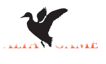 e-about.gr Οδηγός Αγοράς