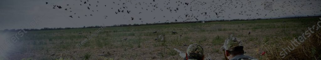 e-about.gr Οδηγός Αγοράς