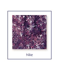 Πυρίτιδες Metplast Nike