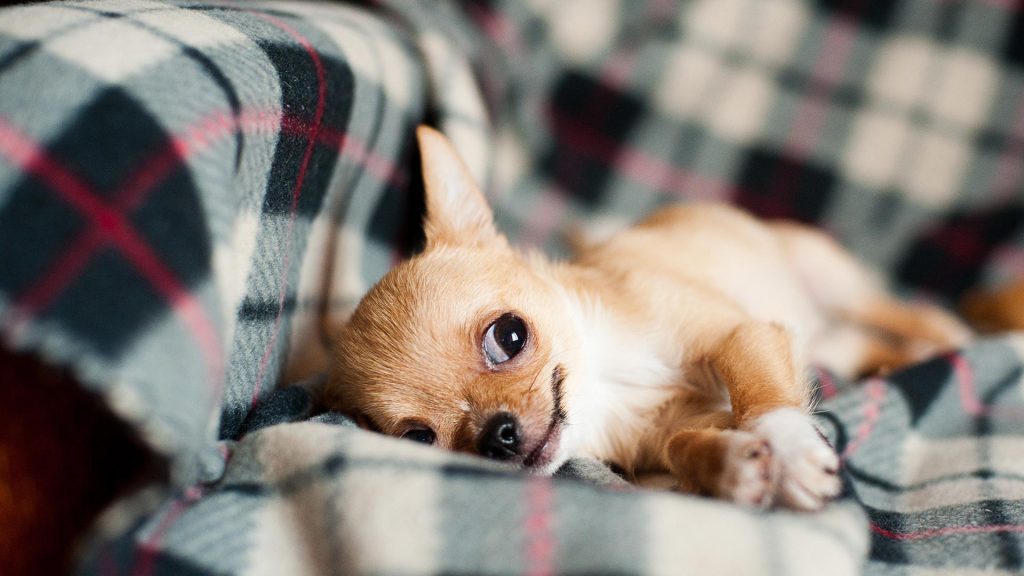 e-about.gr Οδηγός Αγοράς